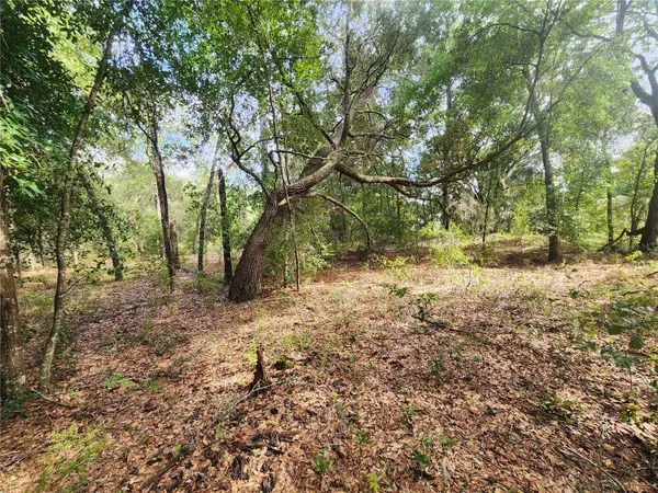 11001 N HARRIET WAY, Citrus Springs, FL 34434