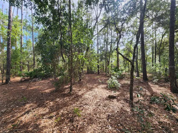 6457 N BAYLOR TER, Dunnellon, FL 34433