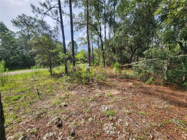 6457 N BAYLOR TER, Dunnellon, FL 34433