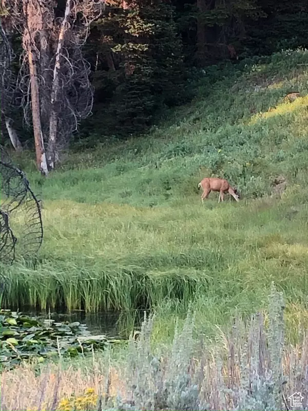 1 UINTA #16-3, Kamas, UT 84036