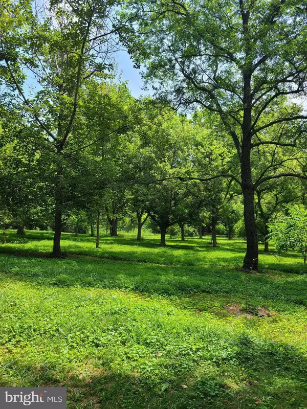 51 GROFF FARM LN, Conowingo, MD 21918