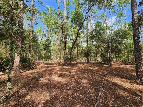 6457 N BAYLOR TER, Dunnellon, FL 34433