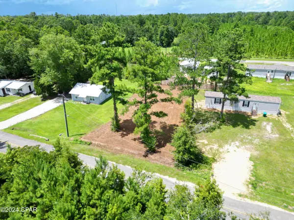 TBD NW Camellia ST, Bristol, FL 32321