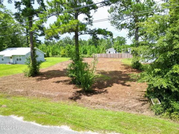 TBD NW Camellia ST, Bristol, FL 32321