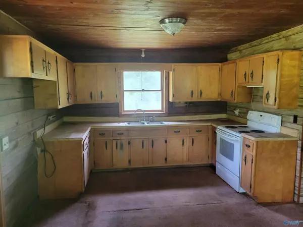 308 Jackson Drive, Henagar, AL 35978