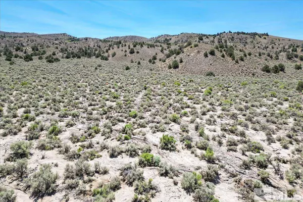 0 Parcel 6 #6, Wellington, NV 89444