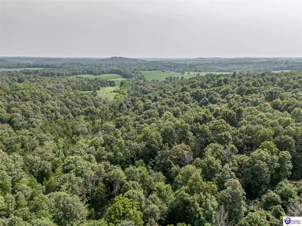 151 Wright Clark Cemetery Road, Cecilia, KY 42724