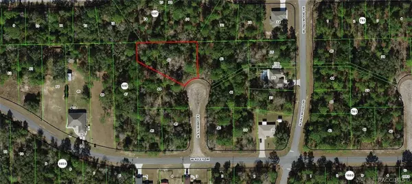 6948 N Steward PT, Dunnellon, FL 34434