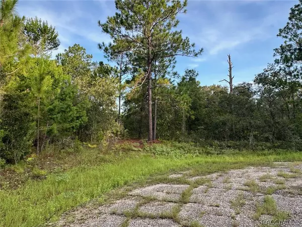 6948 N Steward PT, Dunnellon, FL 34434