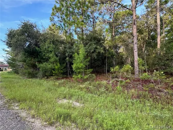 6948 N Steward PT, Dunnellon, FL 34434