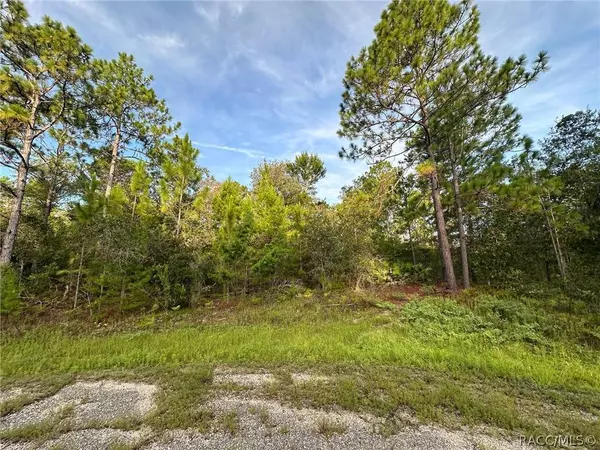 6948 N Steward PT, Dunnellon, FL 34434