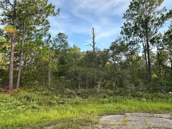 6948 N Steward PT, Dunnellon, FL 34434