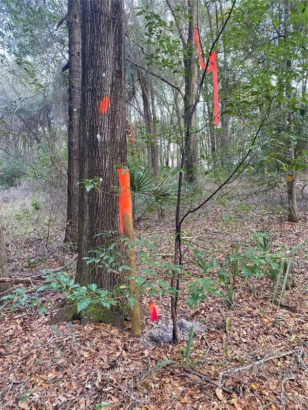 3505 DUNSTABLE DR, Deland, FL 32720