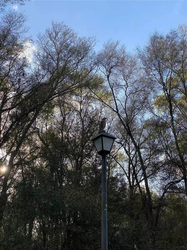 3505 DUNSTABLE DR, Deland, FL 32720