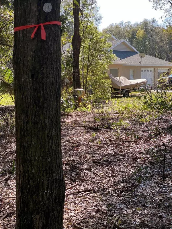 3505 DUNSTABLE DR, Deland, FL 32720