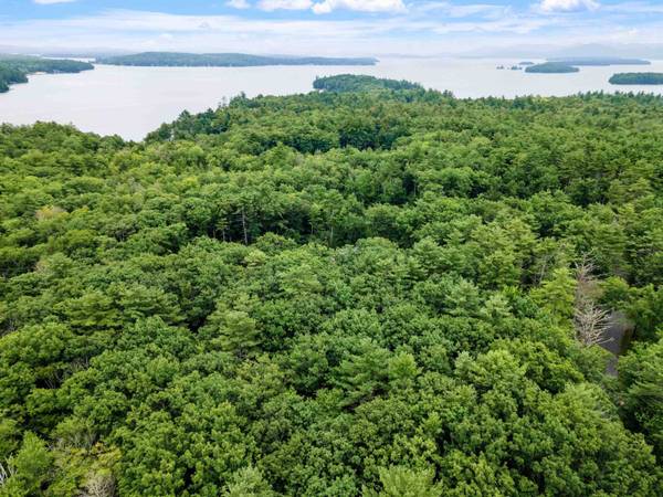 115 Long Point RD, Moultonborough, NH 03254