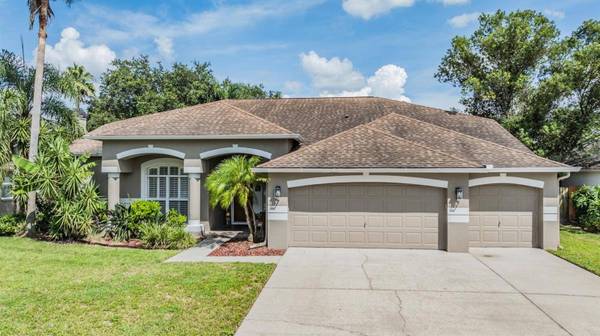 3904 SADDLE RIDGE ST, Valrico, FL 33596