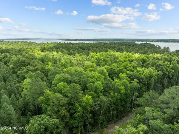 0 Blue Heron Drive, Bayboro, NC 28515