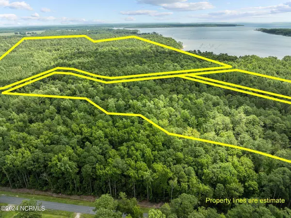 0 Blue Heron Drive, Bayboro, NC 28515