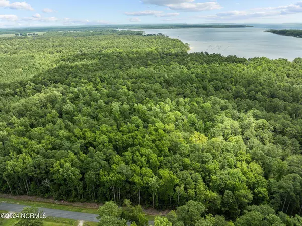 0 Blue Heron Drive, Bayboro, NC 28515