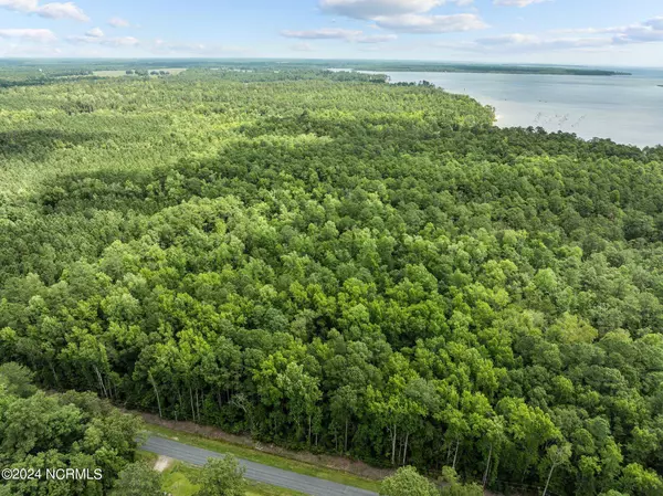 0 Blue Heron Drive, Bayboro, NC 28515