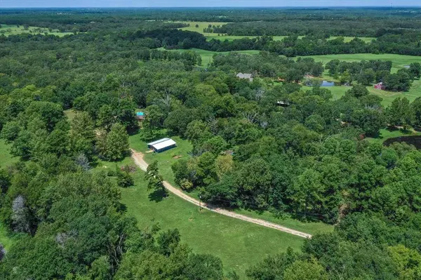 19207 County Road 447, Van, TX 75790