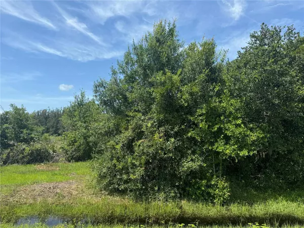 4309 SE HIGHWAY 31, Arcadia, FL 34266