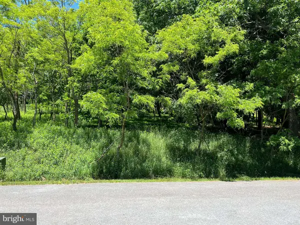 LOT 20 SEARS LANE, Swanton, MD 21561