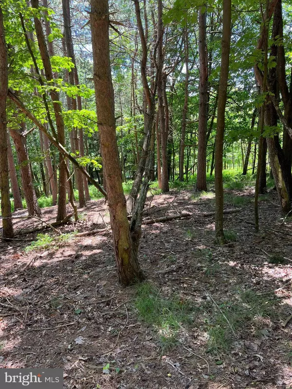 LOT 20 SEARS LANE, Swanton, MD 21561