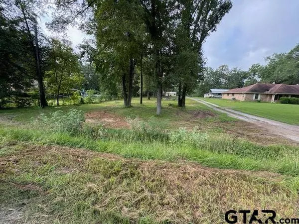 116 Leisure Ln, Whitehouse, TX 75791