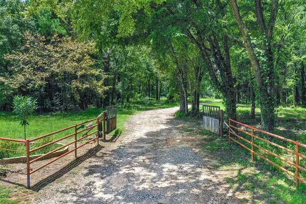 19207 County Road 447, Van, TX 75790