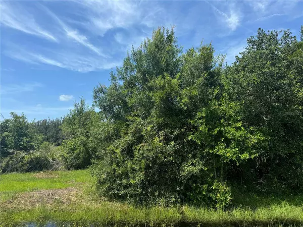 4309 SE HIGHWAY 31, Arcadia, FL 34266