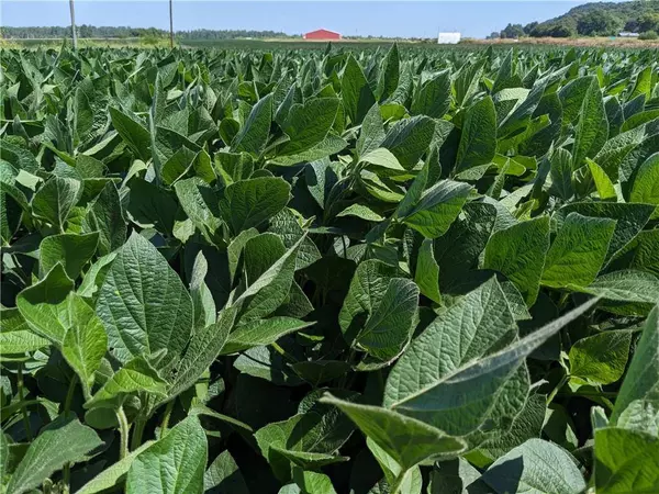 MO 45 HWY, Rushville, MO 64484