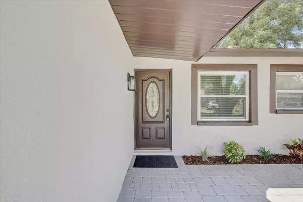 705 HOLLY TER, Brandon, FL 33511