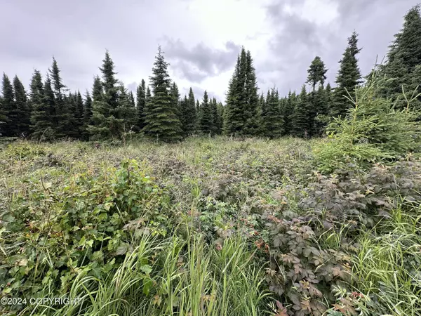 Lt 25-27 Washington AVE, Anchorage, AK 99515