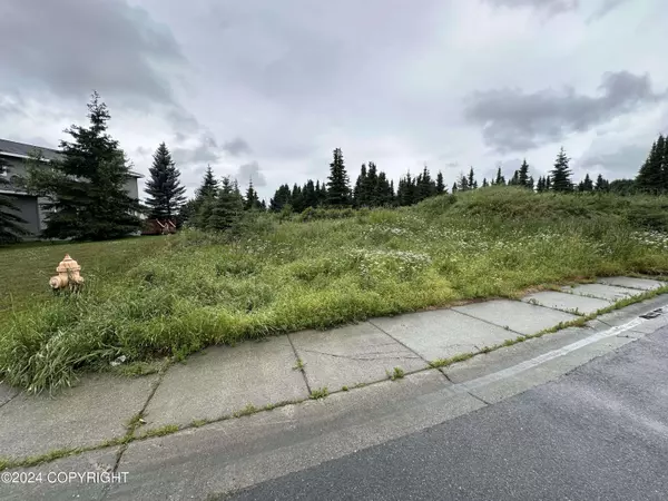 Lt 25-27 Washington AVE, Anchorage, AK 99515