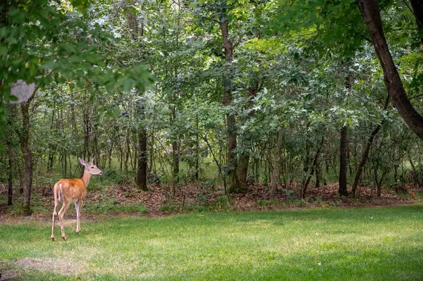 W6407 20th Street, Necedah, WI 54646