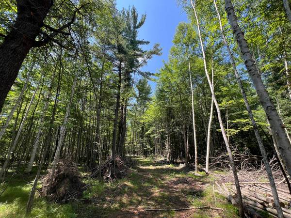 ON WATERSMEET LAKE RD, Eagle River, WI 54521