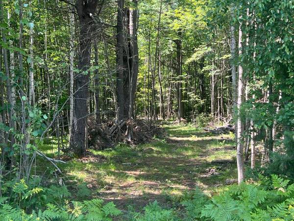 ON WATERSMEET LAKE RD, Eagle River, WI 54521