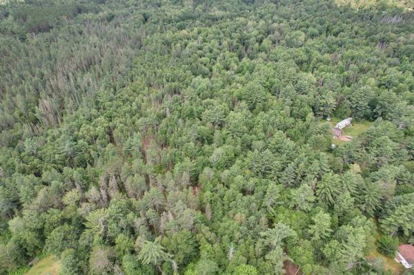 ON WATERSMEET LAKE RD, Eagle River, WI 54521