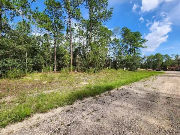 6457 N Baylor TER, Dunnellon, FL 34433