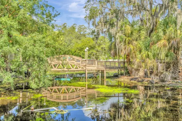 7513 PITCH PINE CIR #134 C, Tampa, FL 33617