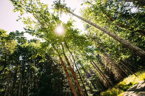 Lt 10 Sitka Grove, Gabriola Island, BC V0R 1X1