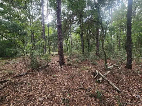 199 E Cory LN, Dunnellon, FL 34434