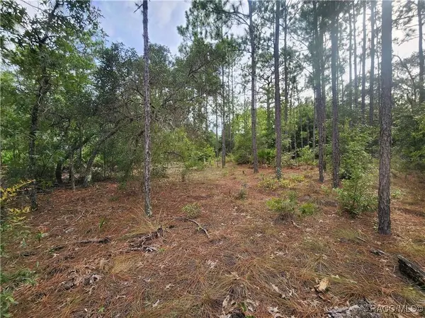 7018 N Foxdale DR, Citrus Springs, FL 34434