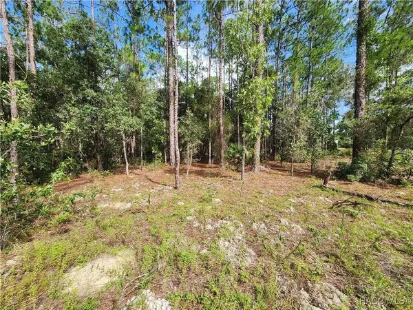 6457 N Baylor TER, Dunnellon, FL 34433