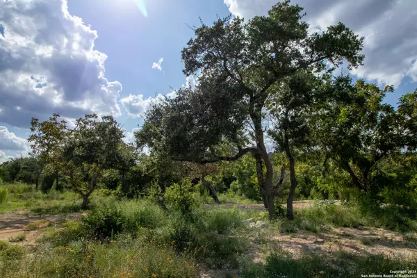 LOT 6 MESSINA CYN, San Antonio, TX 78255