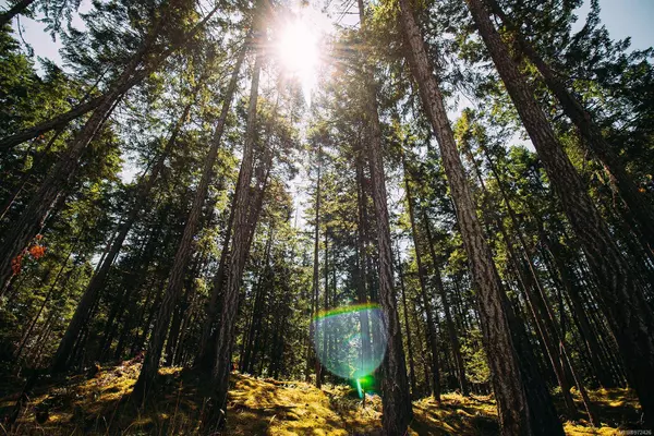 Lt 10 Sitka Grove, Gabriola Island, BC V0R 1X1