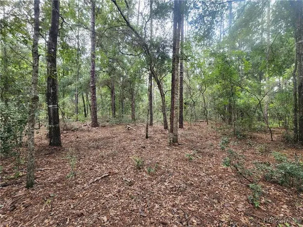 199 E Cory LN, Dunnellon, FL 34434