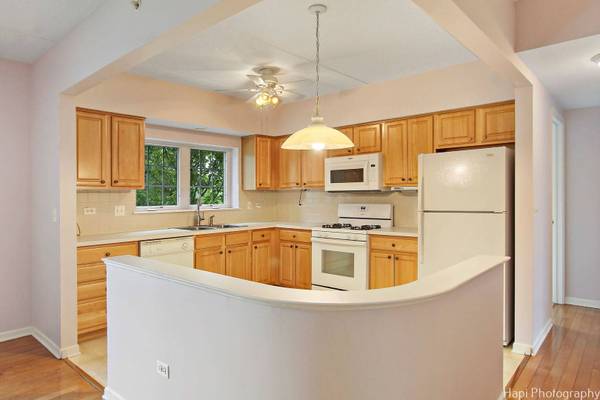 124 W Colfax ST #209, Palatine, IL 60067